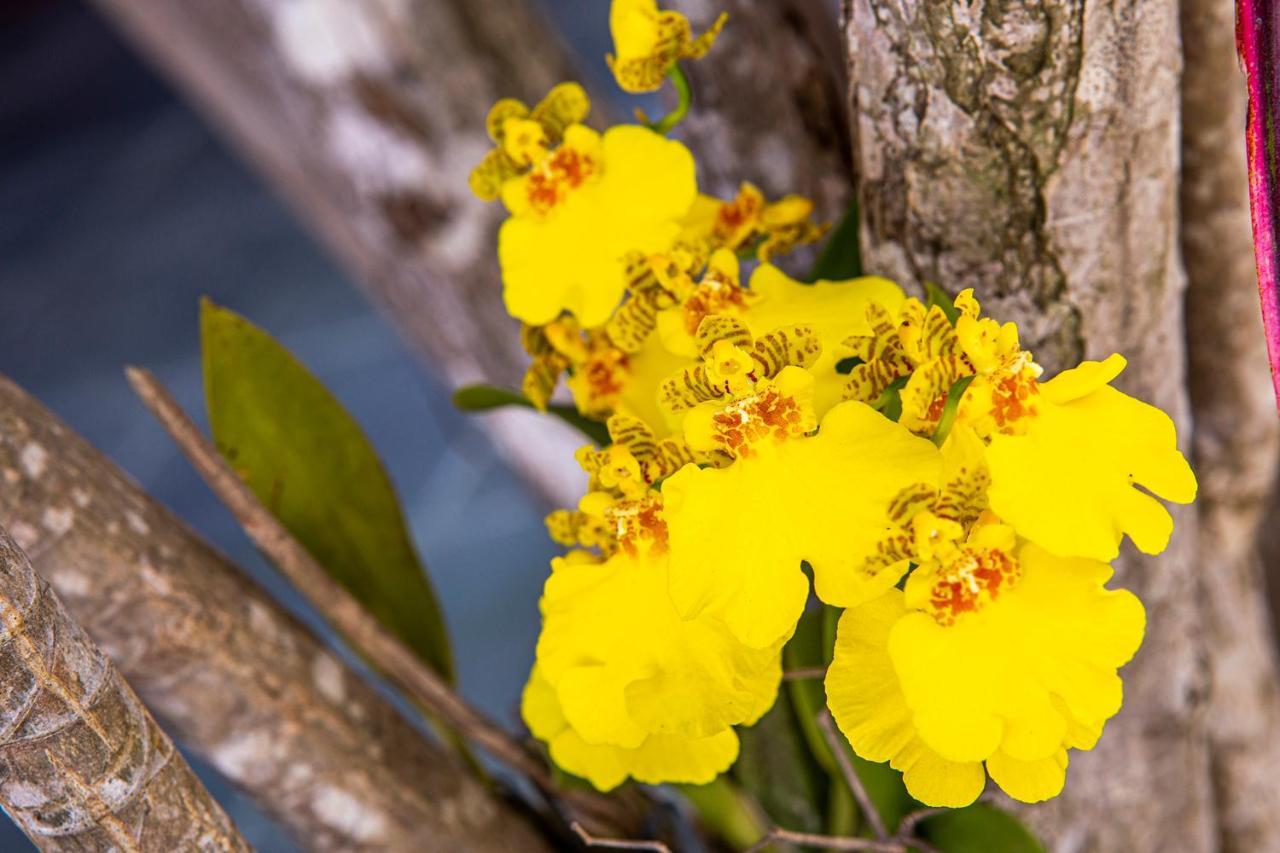 Suites Las Flores Maresias Kültér fotó
