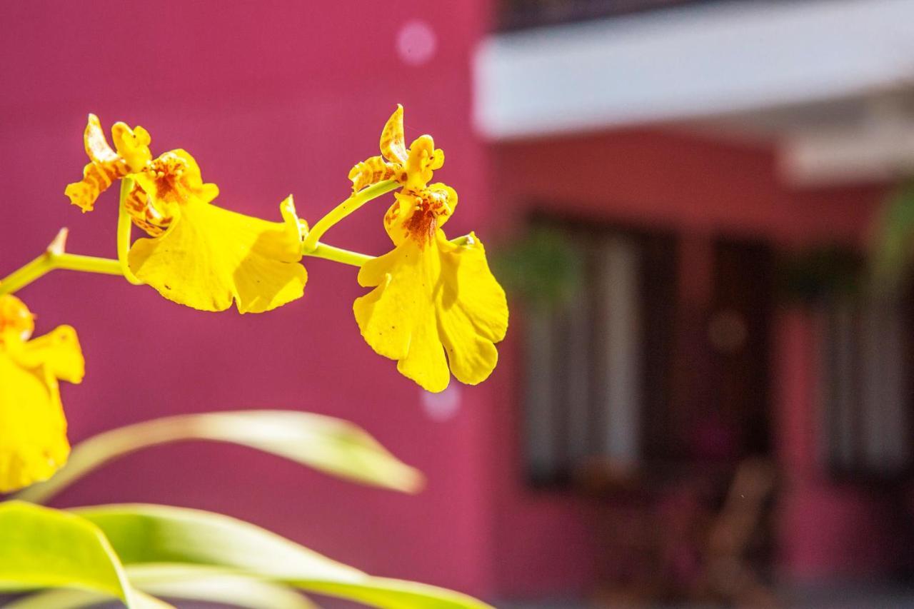 Suites Las Flores Maresias Kültér fotó